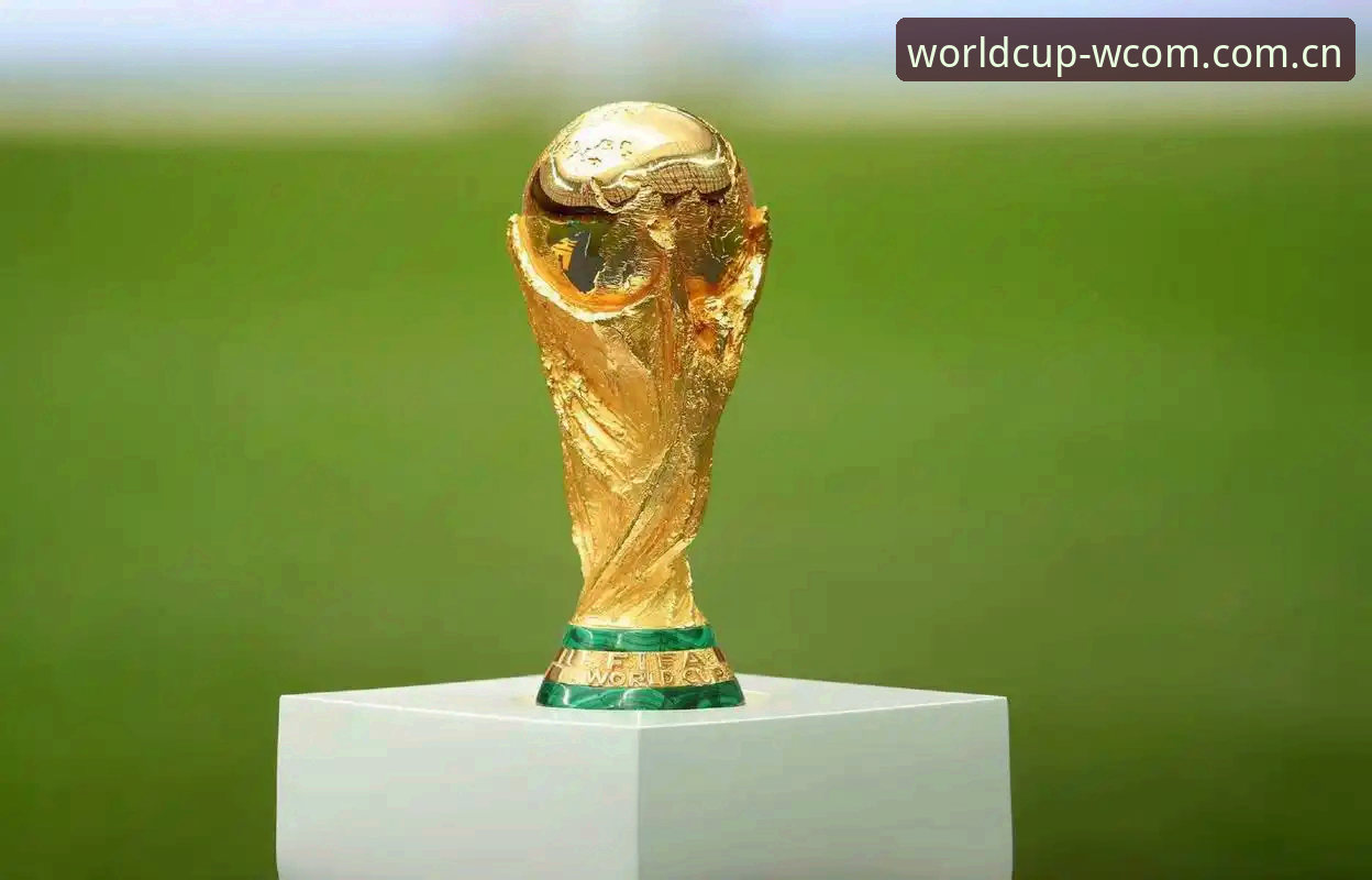 2026世界杯外围赛官方入口 vs 普通平台：哪家竞猜更值得选？