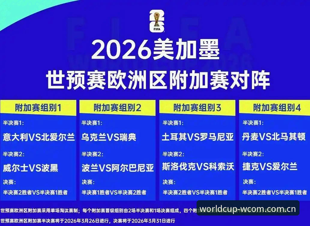 世界杯观赛受阻？从签证风波看2026年赴美观赛的实用技巧